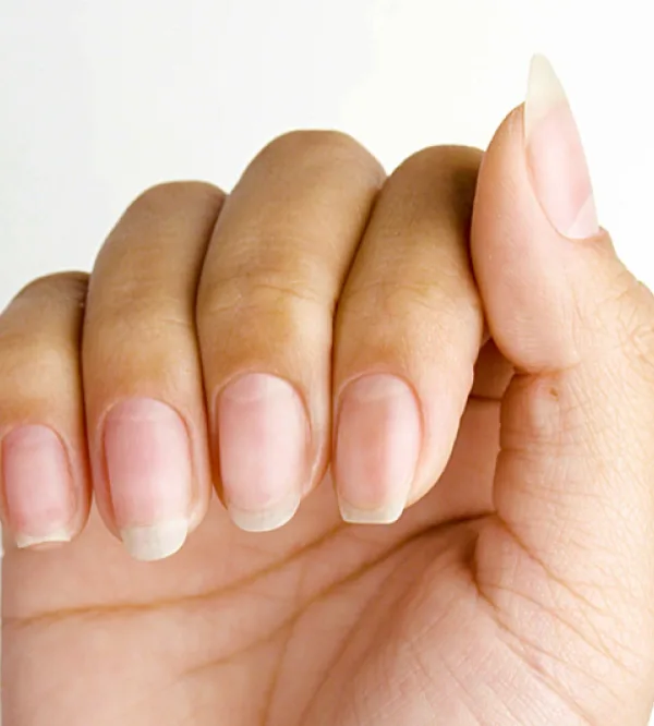 nail-anatomy-content-card-600x666