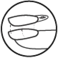 Built-in Sticky Tabs